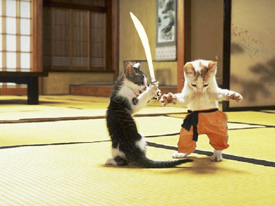 Katzen%20Samurai